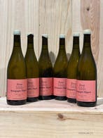 2023 Tercet - Bourgogne Aligoté - 6 Flessen (0.75 liter), Nieuw