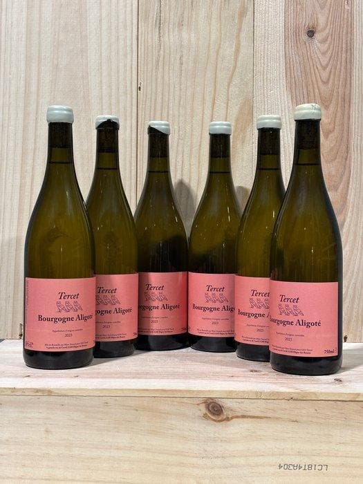 2023 Tercet - Bourgogne Aligoté - 6 Flessen (0.75 liter), Verzamelen, Wijnen