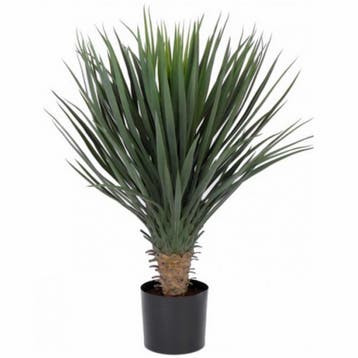 Kunst Yucca Rostrata palmlelie 80 cm - Overige kunstplanten, Ophalen of Verzenden