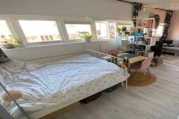 Studio Van Starkenborghstraat in Groningen, 20 tot 35 m², Groningen