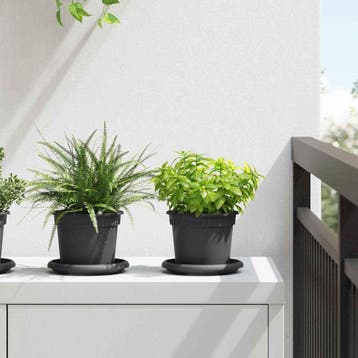 vidaXL Ronde Bloempot 6 st Zwart Ø 12,5 x 10 cm Kunststof, Verzenden, Nieuw, Kunststof, Minder dan 30 cm