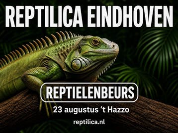 Reptielenbeurs EINDHOVEN (Waalre)  23 aug. 2026, Overige soorten, Met terrarium