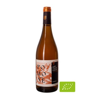 AMS TRAM GRAM Pomone Le Vin Orange, Ophalen of Verzenden, Nieuw