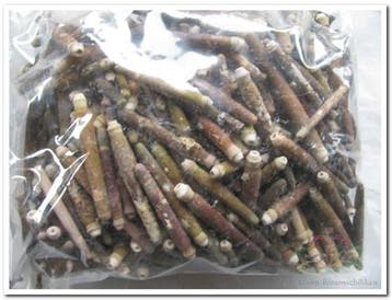 Zeeegel Pennen 1 kilo, Ophalen of Verzenden, Nieuw