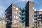 Te huur: Appartement Perzikstraat in Assen, Assen, Appartement, Drenthe