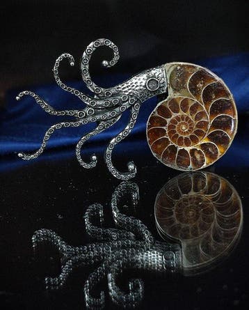 Geen reserveprijs Prachtige ammoniet hanger/broche