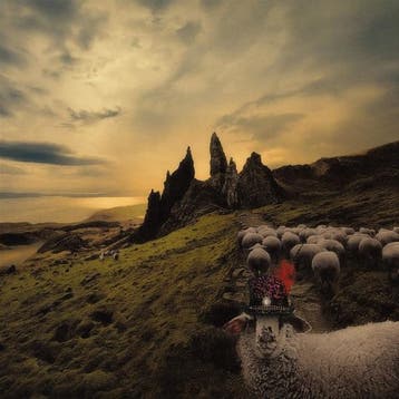 cd - franck carducci - SHEEPLE (nieuw), Verzenden, Zo goed als nieuw