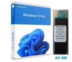Windows 11 Pro-installatie/herstel - kingston usb stick 64gb, Ophalen of Verzenden, Nieuw, Windows
