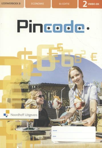 2 vmbo-bk / Pincode / leerwerkboek B - Joyce Dost, Boeken, Verzenden, Zo goed als nieuw, Joyce Dost