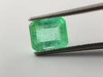 Zonder minimumprijs Blauw, Groen Smaragd - 1.20 ct - Gem, Nieuw