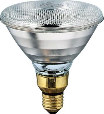 Philips Infraroodlamp met reflector - 11579915, Verzenden, Nieuw, Overige typen