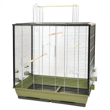 Vogelkooi Duvo Natural Fiona Olijfgroen/Chroom – Parkiete., Verzenden, Nieuw, Overige materialen, Vogelkooi