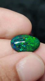 Opaal Zwart vuur Multicolor - 5,5Ct - Lightning Ridge- 1.1 g