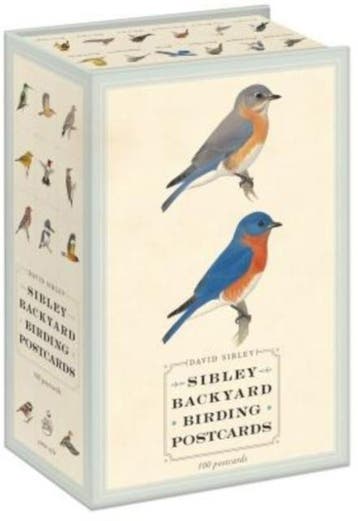Sibley Backyard Birding Postcards | Nieuw, Ophalen of Verzenden, Nieuw, David Sibley; David Allen Sibley