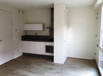 Te huur: Appartement Hart van Brabantlaan in Tilburg, Tilburg, Noord-Brabant, Appartement