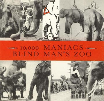 cd - 10,000 Maniacs - Blind Mans Zoo, Cd's en Dvd's, Verzenden, Zo goed als nieuw