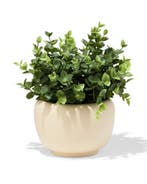 HEMA Bloempot 10x10.4cm keramiek crème, Verzenden