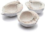 Kokosnoot White Wash halve 15-20 cm per stuk, Ophalen of Verzenden, Nieuw