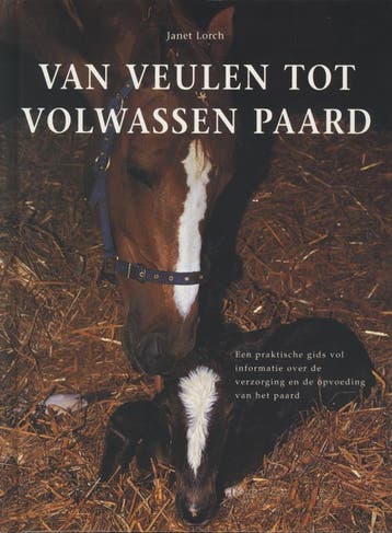 Van veulen tot volwassen paard - J. Lorch 9789059203624, Verzenden, Zo goed als nieuw, J. Lorch