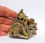 marcasiet Kristallen op matrix - Hoogte: 14 cm - Breedte: 16, Verzamelen, Mineralen en Fossielen