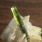 55,2 ct TOP Stak nala Groene dopjes turmalijn Exemplaar-