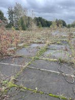 Gebruikte betonplaat 200x200x12 met hoeklijn B Keus..., Ophalen of Verzenden, Nieuw