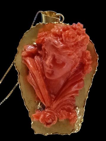 Ketting met hanger - 18 karaat Geel goud Bloedkoraal -, Sieraden, Tassen en Uiterlijk