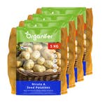 Pootaardappelen Nicola A 28/35 (20 kg), Verzenden, Gehele jaar, Volle zon