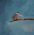 Matthieu van Riel - IJsvogel avondlicht