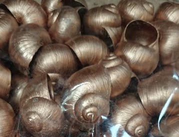 Landsnail small schelp Koper 250 gram, Ophalen of Verzenden, Nieuw