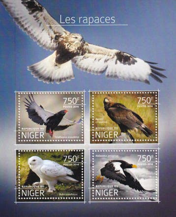Niger - 2014 - Roofvogels - Postfris, Postzegels en Munten, Postzegels | Thematische zegels, Verzenden, Postfris, Dier of Natuur