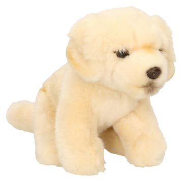 Golden Retriever knuffel hond - pluche - creme wit - 15 cm, Verzenden, Nieuw