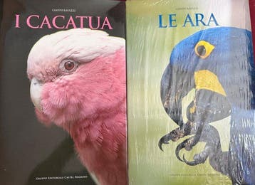 Gianni Ravazzi - I cacatua / Le ara - 2009, Antiek en Kunst