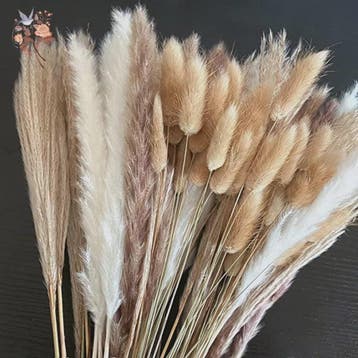 Natuurlijk Pampas Gras Boeket - Gedroogde Bloemen voor Boho, Verzenden, Nieuw