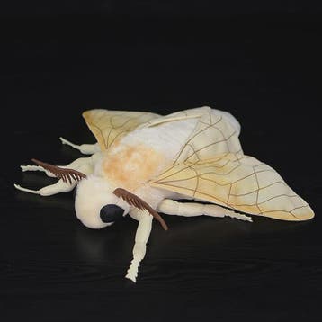 Zachte Pluche Insecten Knuffels: Motten, Bijen, Kever & Mant