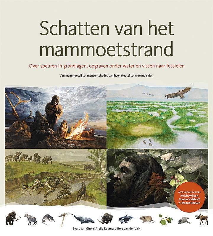 Schatten van het mammoetstrand 9789080989207, Boeken, Geschiedenis | Wereld, Gelezen, Verzenden