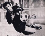 Campione del Mondo Dino Zoff - FIFA Wereldkampioenschap, Nieuw