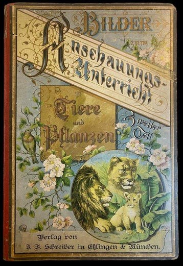 Gotthilf Heinrich von Schubert - Bilder zum, Antiek en Kunst