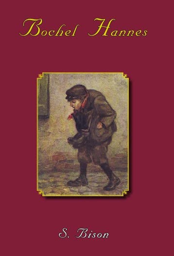 Bochel Hannes - S. Bison 9789057412110, Boeken, Verzenden, Zo goed als nieuw, S. Bison