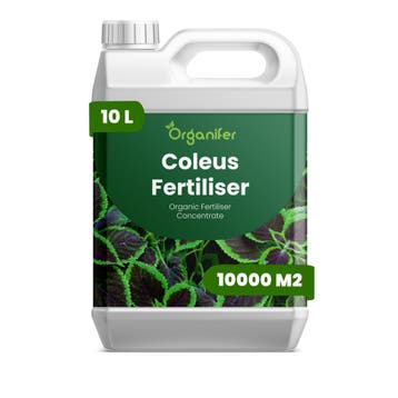 Coleus Vloeibare meststof - 10 liter, Verzenden, Mest