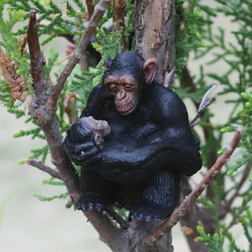 Oenux Wild Animal Speelfiguren: Aap, Chimpansee, Orang-oetan