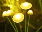 Veiling - Solar tuinverlichting - paddenstoelen, Tuin en Terras, Buitenverlichting, Nieuw