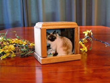 Urn | crematie | uitverkoop | aanbieding | dier | foto, Ophalen of Verzenden, Nieuw