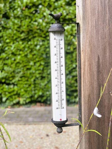 Thermometer - IJzer, Glas - 58,5 cm