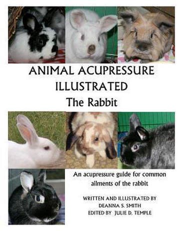 9781477586365 Animal Acupressure Deanna S Smith, Verzenden, Nieuw, Deanna S Smith