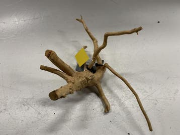 Spiderwood Selected SW83 - 40x24x23cm (Spider wood), Ophalen of Verzenden, Nieuw, Plant(en), Steen of Hout