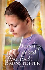 Krachtig gebed / De Indiana Amish / 2 9789088653353, Boeken, Verzenden, Gelezen, Wanda E. Brunstetter