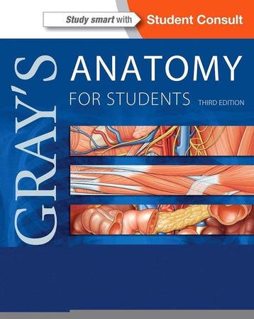 9780702051319 Grays Anatomy For Students | Tweedehands, Boeken, Verzenden, Zo goed als nieuw, Richard Drake