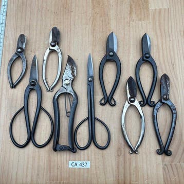Japanese Bonsai & Ikebana Shears Set CA437 Wabi Sabi Japan -