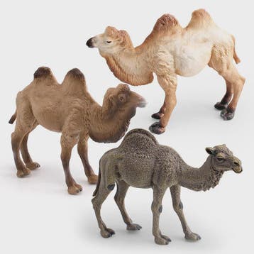 Realistische Dromedaris & Baktriaanse Kameel Figuren - Deskt, Dieren en Toebehoren